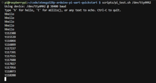 Figure 1: Terminal printout of echo example