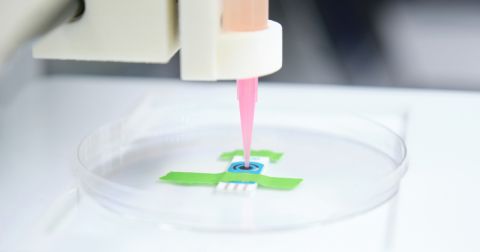 Dispositivos Transitorios de Electrónica Biodegradable