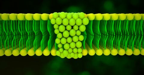 Điện Tử Thu Hoạch Năng Lượng: Từ CES 2025 đến Tương Lai Không Cần Pin