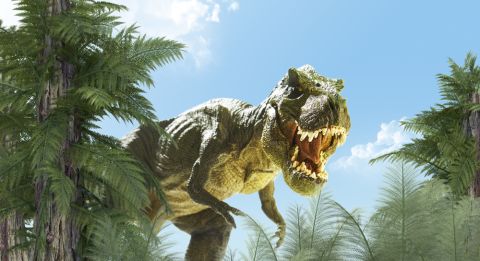 New Altium Documentation