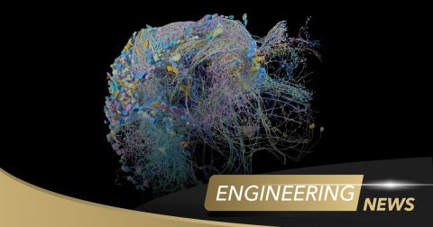 One Step Closer to Mapping the Human Brain