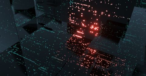 Real-World Monitoring with Encoders