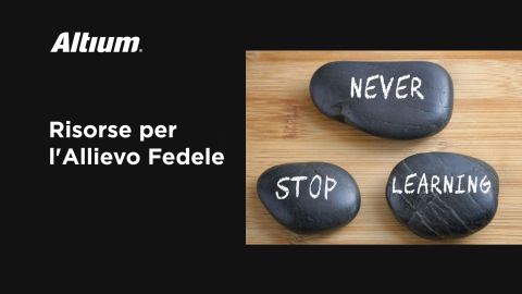 words on rocks "never. stop. learning."