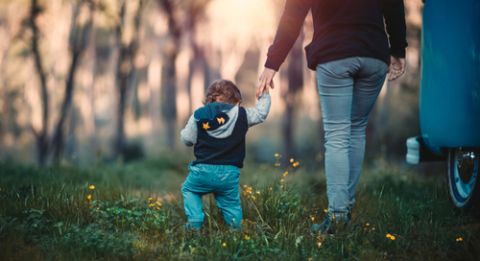 Starting Out in PCB Design with the Right Board Layout Software