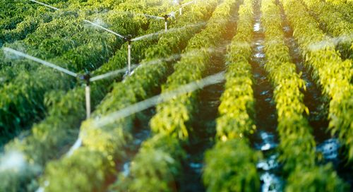 Come il Design Innovativo di PCB Permette all’IoT di Ridurre Gli Sprechi