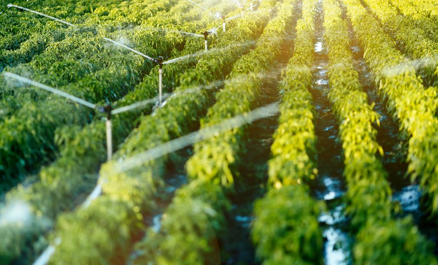 Découvrez comment la conception innovante de circuits imprimés permet aux objets connectés, à l’Internet des Objets de réduire le gaspillage