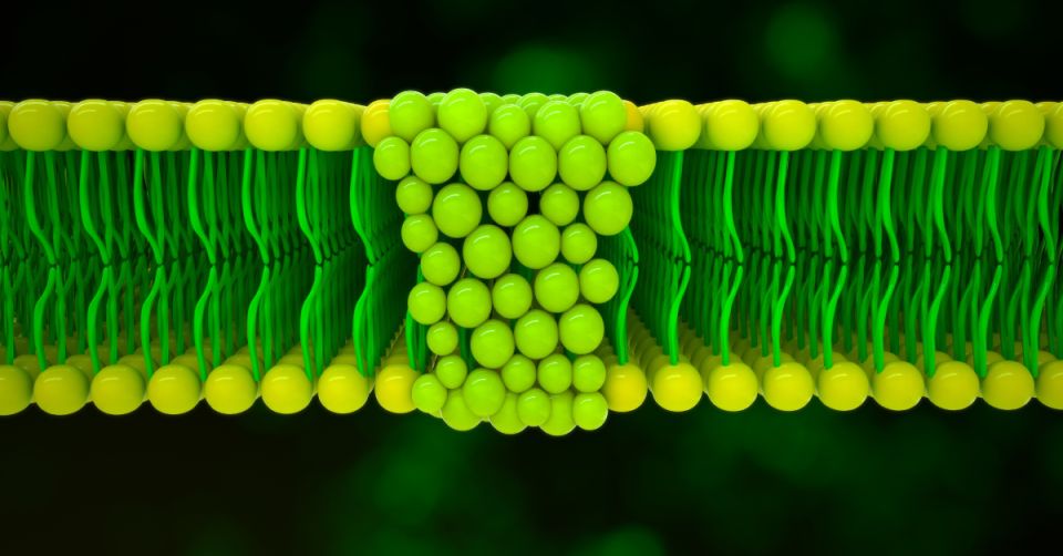 Elettronica per il Recupero di Energia: Dal CES 2025 a un Futuro Senza Batterie