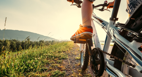 I diversi tipi di supporto per software di costruzione di circuito