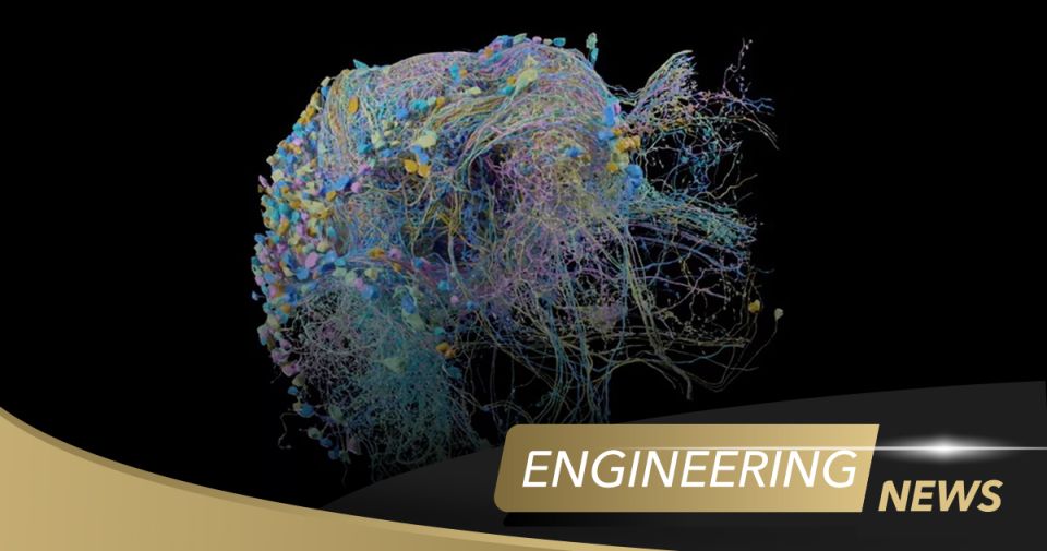 One Step Closer to Mapping the Human Brain