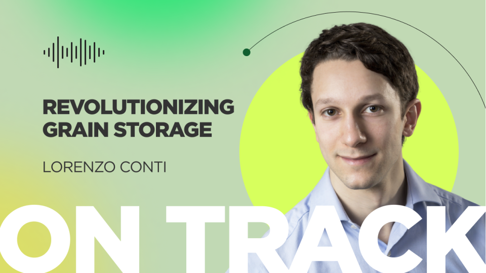 Revolutionizing Grain Storage: New Tech for Sustainable Agriculture