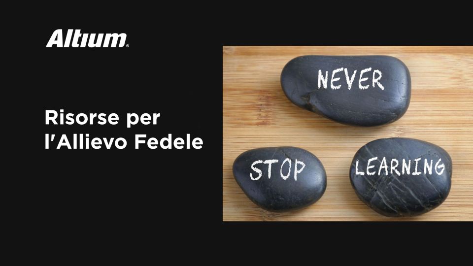 words on rocks "never. stop. learning."