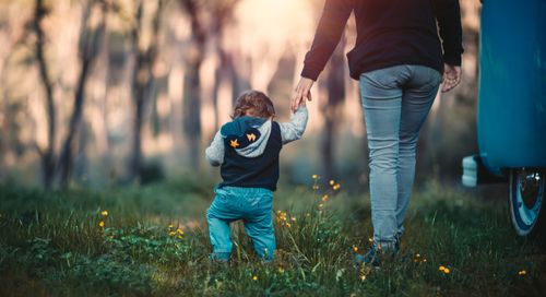 Starting Out in PCB Design with the Right Board Layout Software