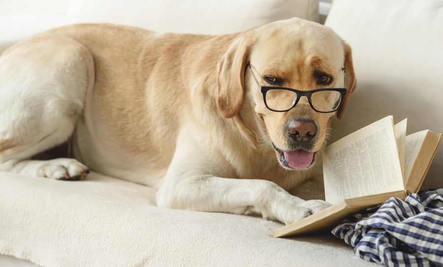 Using a BOM Tool Enables You to Create Your Design with Confidence